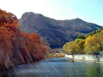 管家婆黑白马报图库，重油流量计